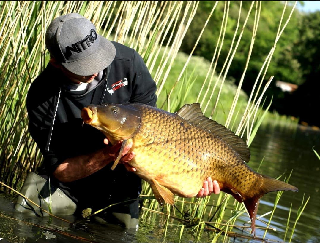 186198434_808651386702244_6081182236898045605_n