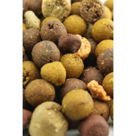 Feed Boilies - Rock hard special offer - 4kg