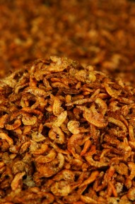 Gammarusshrimps400ml-20