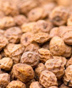 Tigernuts125kgbags-20