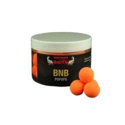 BNB - Popups - Orange
