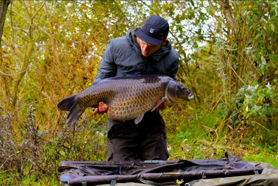 186462037_464611014607172_6871855789859084552_n