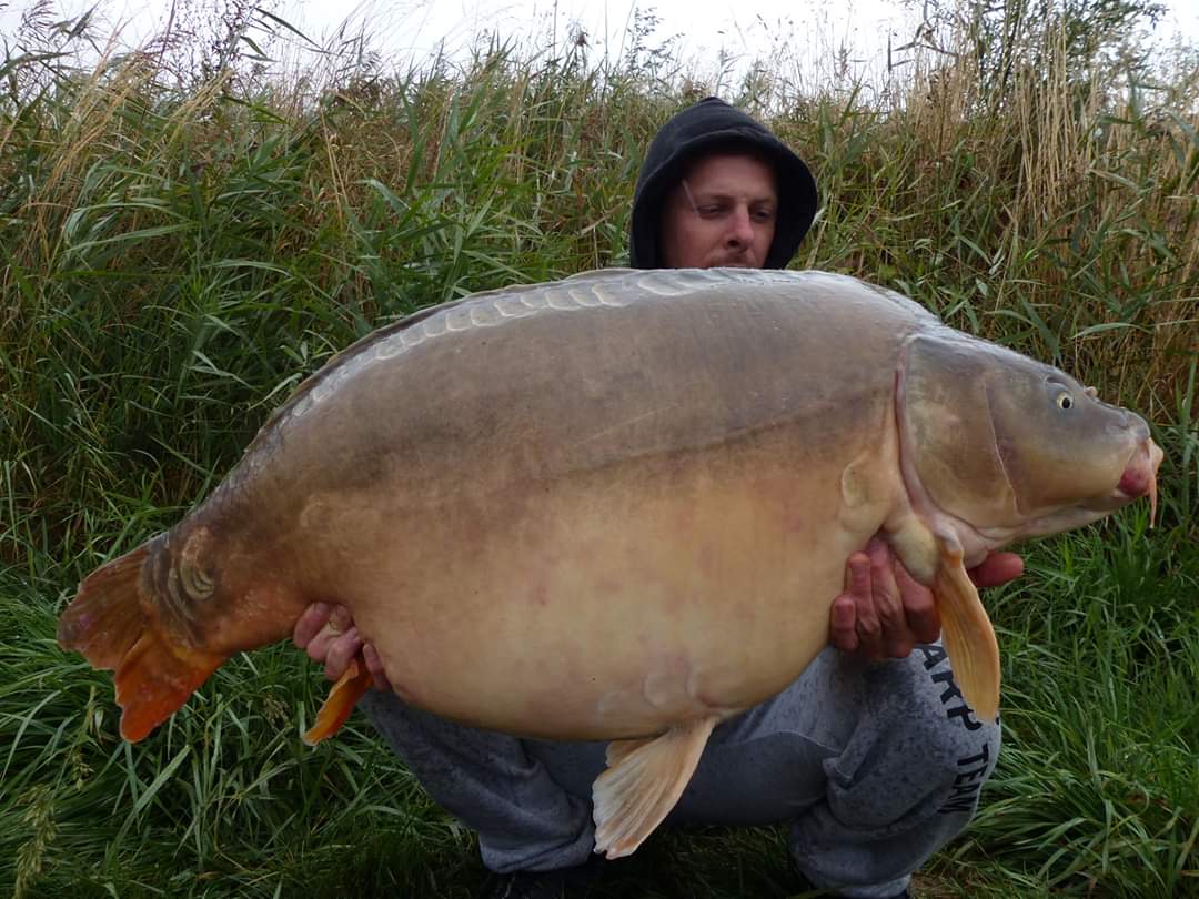 FB_IMG_1585047286661